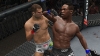 ufc-3-06