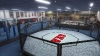ufc-undisputed-3-karriere-3