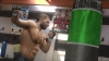 ufc-undisputed-3-karriere-4