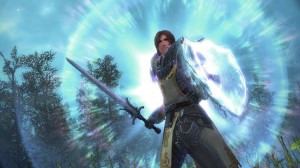 Guild Wars 2 19